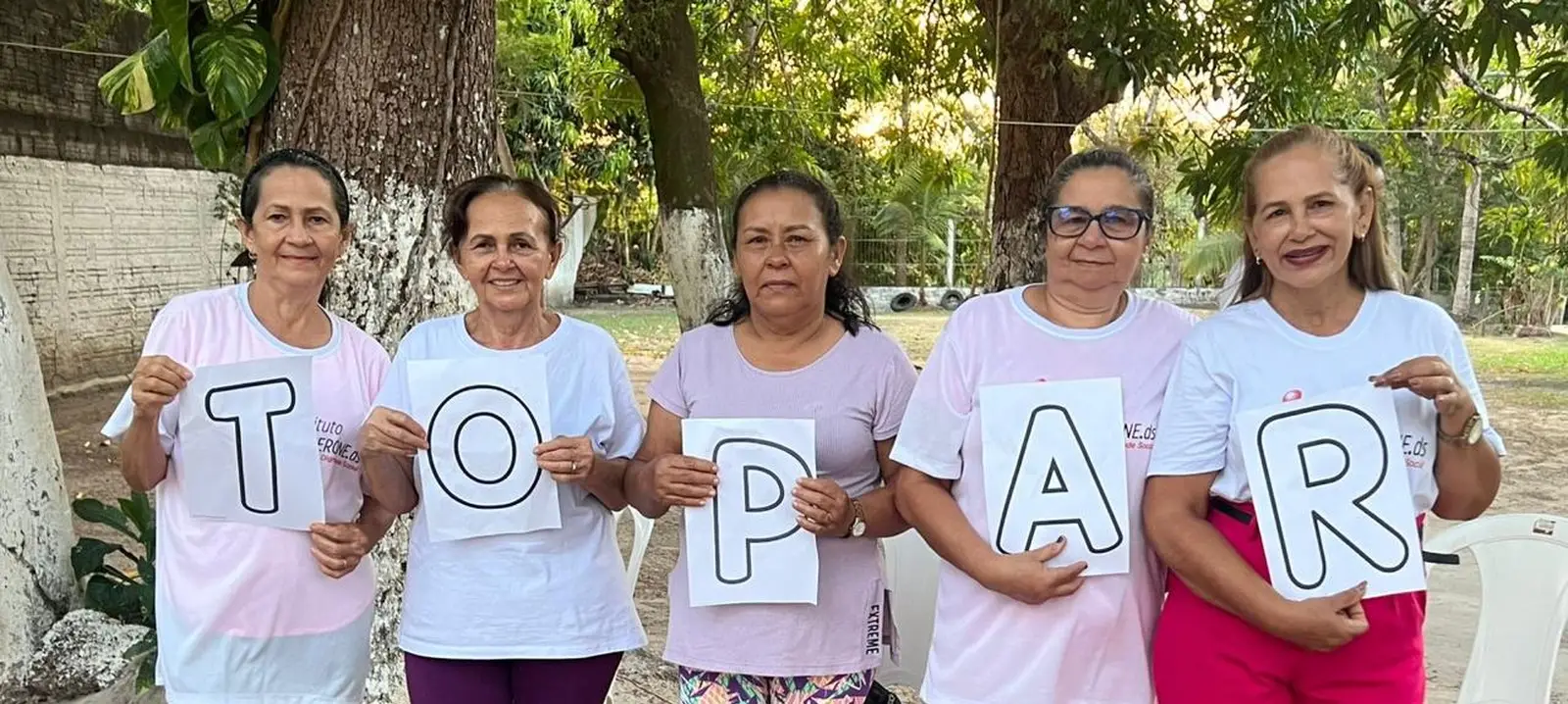 imagem2